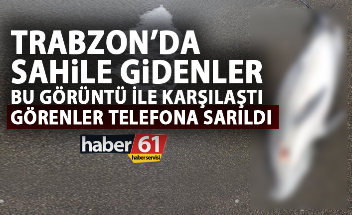 Trabzon’da şok görüntü! 4'ü birden!
