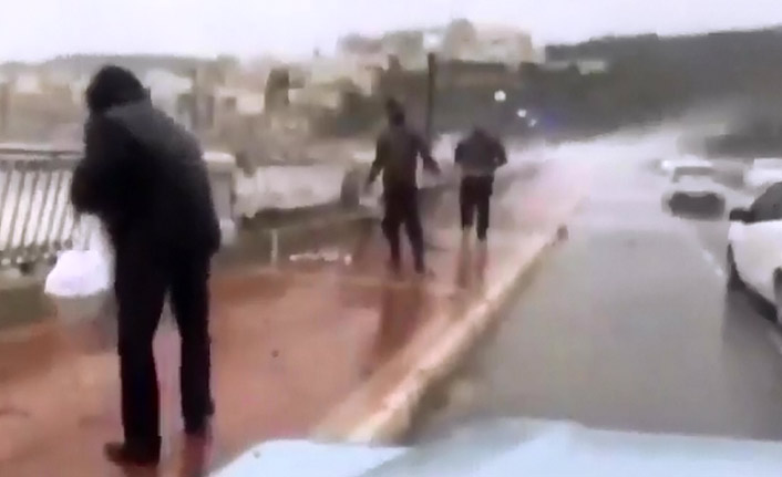 Fırtınada balıklar karaya vurdu