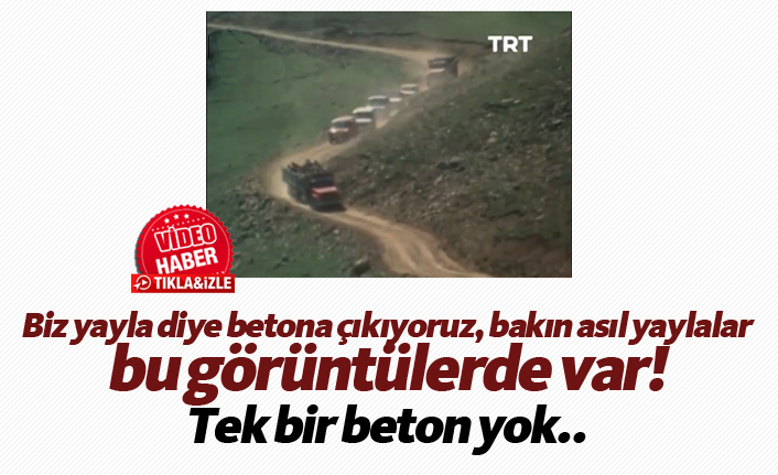 Asıl yaylalar bu görüntülerde var! Tek bir beton yok...