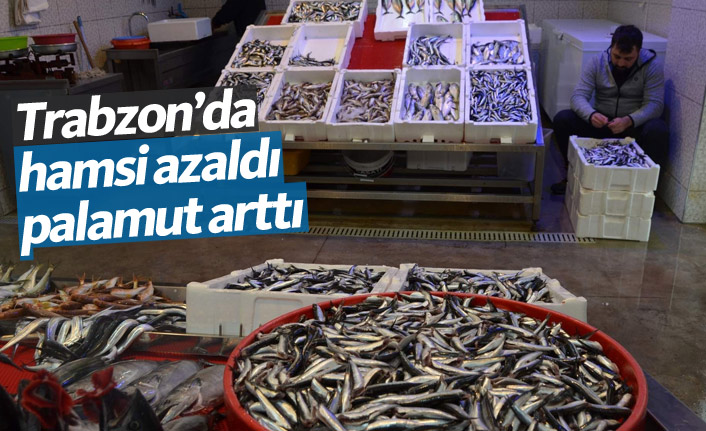 Trabzon'da hamsi azaldı palamut arttı