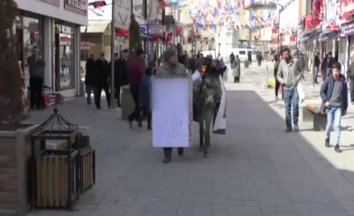 Eşeğine akü takıp eylem yaptı