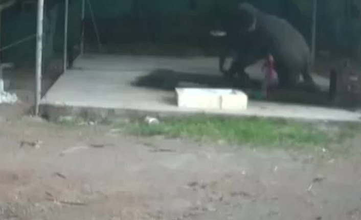 Filin altında kalarak can verdi