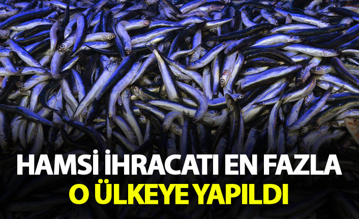 Hamsi En fazla o ülkeye ihraç edildi