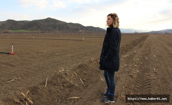  Okulda müdür, tarlada hanımağa 