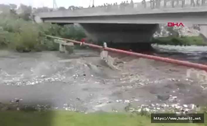 Canını hiçe sayıp, nehir üstünde mahsur kalan çocuğu kurtardı