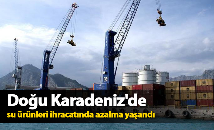 Doğu Karadeniz'de su ürünleri ihracatında azalma yaşandı