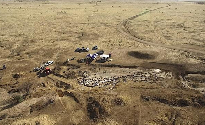 Avustralya’da yeni dinozor türü keşfedildi