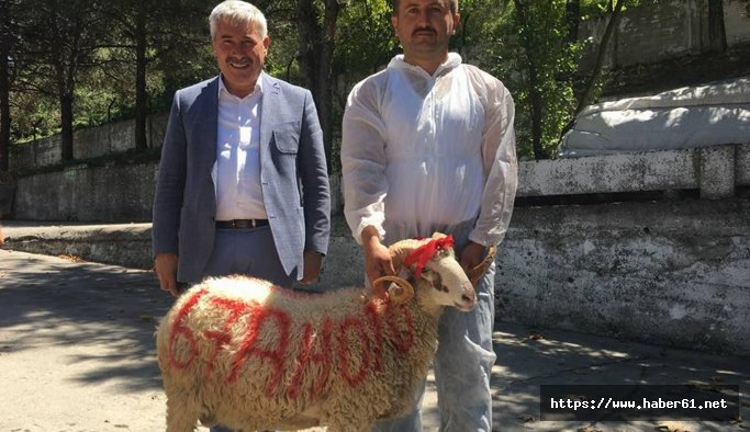 İlk icraatı makam aracı almak ve aracına kurban kestirmek oldu!