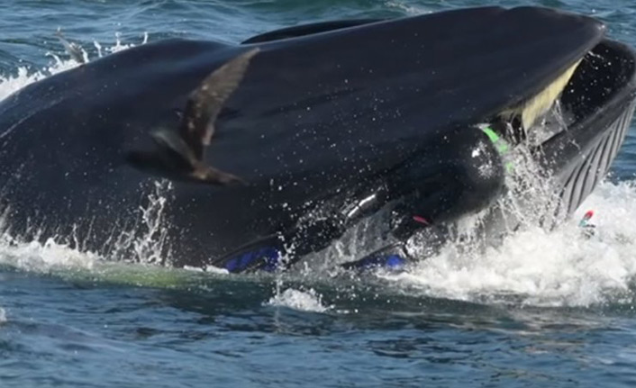 Bir fotoğraf uğruna hayatından oluyordu