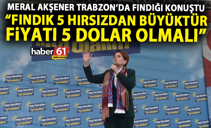 Meral Akşener: Fındık 5 hırsızdan büyüktür! Fiyatı 5 dolar olmalı!