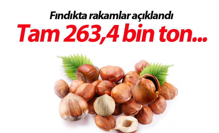 Fındıkta rakamlar belli oldu