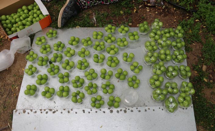 Eriğin tanesi dalında 10 lira