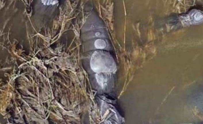 Siyah poşetler içinde 19 ceset bulundu