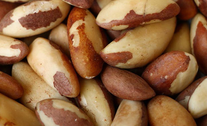 Brezilya cevizinin fiyatı çeyrek altın ile yarışıyor