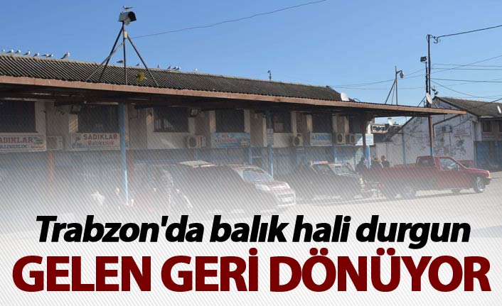 Trabzon'da balık hali durgun - Gelen geri dönüyor