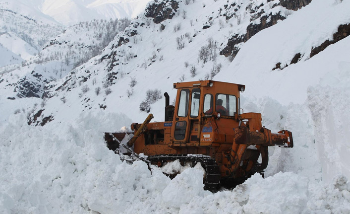Şırnak-Hakkari karayoluna çığ düştü