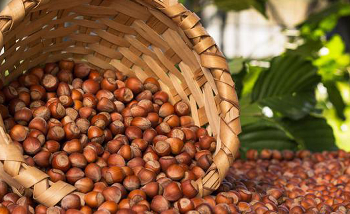 Fındık üreticilerine müjde! Ödemelerin tarihi belli oldu!