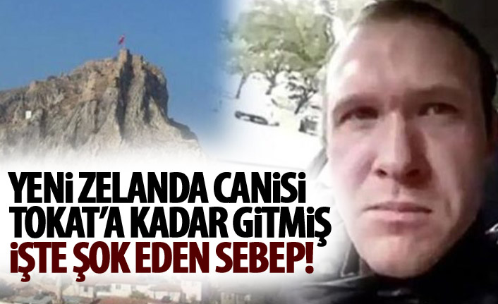 Yeni Zelanda canisi Tokat'a kadar gitmiş! İşte nedeni!