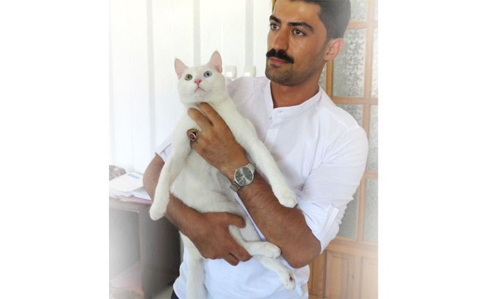 Beşinci kattan düşen kedisi için 190 bin lira harcadı