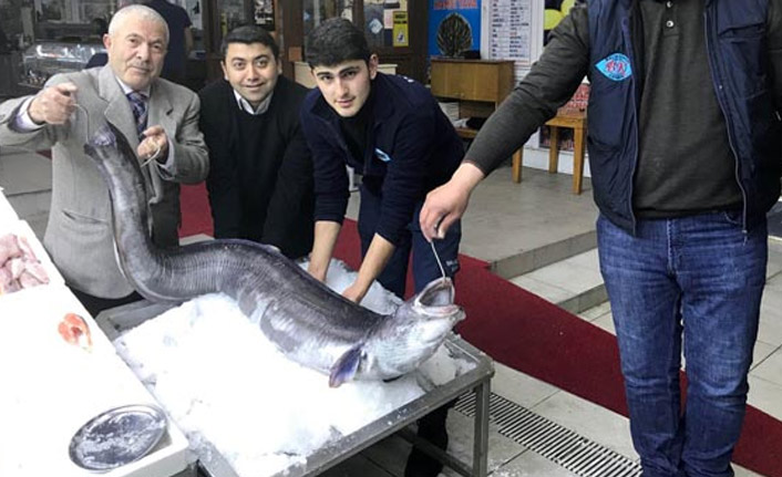 Marmara Denizi'nde bulundu! Tam 3 metre...