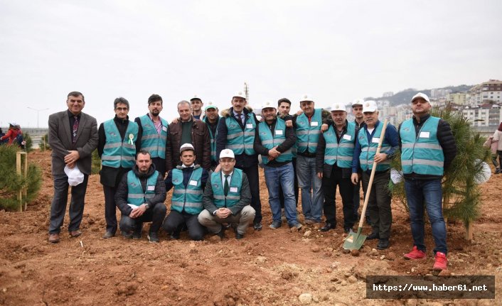 Trabzon'da 'Denetimli' fidan dikimi