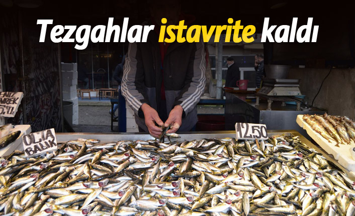 Tezgahlar istavrite kaldı