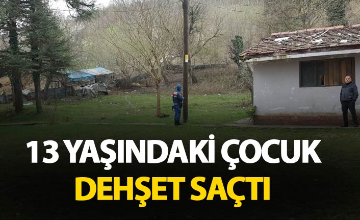 13 Yaşındaki çocuk tüfekle dehşet saçtı