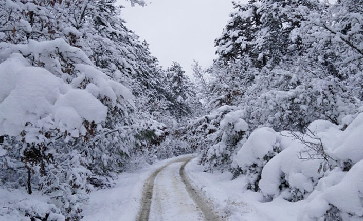 Meteoroloji'den kar ve don uyarısı