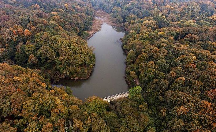 Orman zararlılarıyla mücadele için 8 milyon lira harcandı
