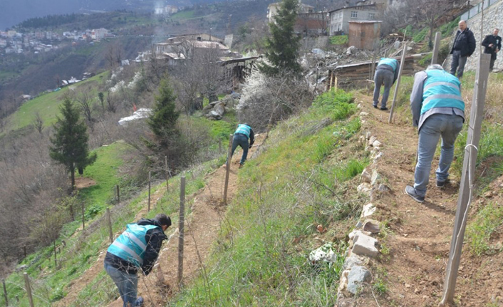 Artvin’de yükümlülerden fidan dikim ve bakım çalışması