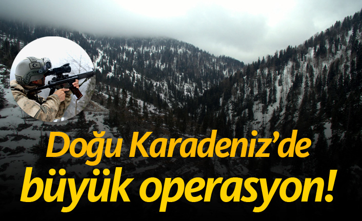 Doğu Karadeniz'de büyük operasyon!