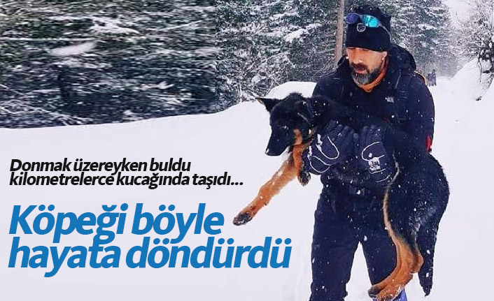 Trabzon'da donmak üzere bulduğu köpeği kilometrelerce taşıyıp kurtardı