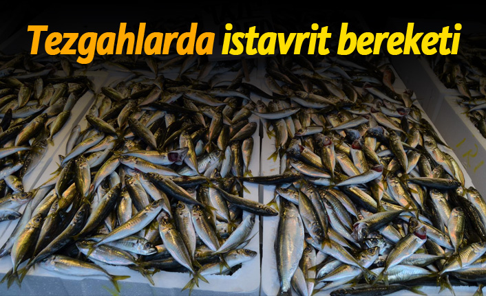 Tezgahlarda istavrit bereketi