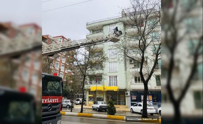 Ağaçta mahsur kalan kuşu itfaiye kurtardı
