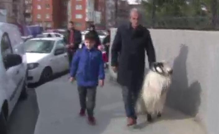 Oy vermeye keçisiyle geldi