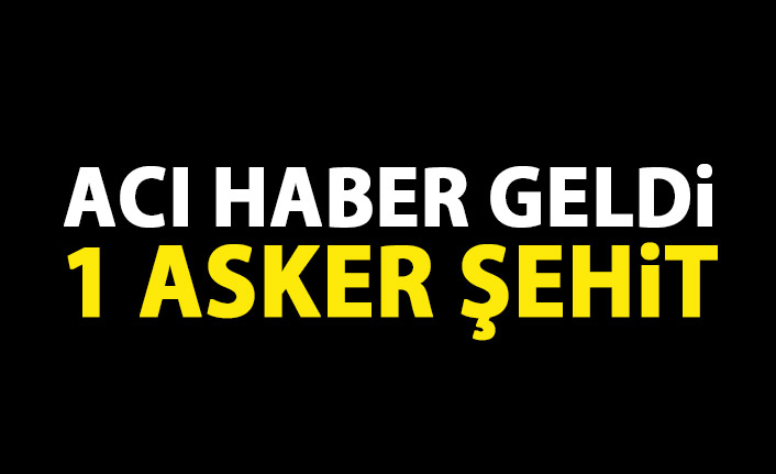 Teröristlerden havanlı saldırı: 1 asker şehit, 1 asker yaralı