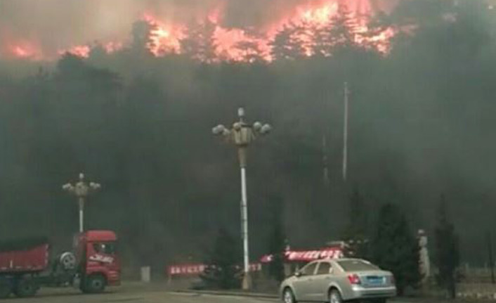 Çin’deki orman yangınında büyük acı!