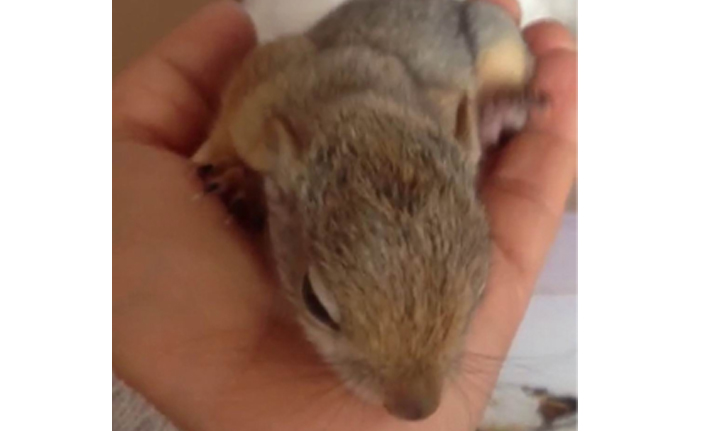 Köy öğretmenlerinden örnek davranış!