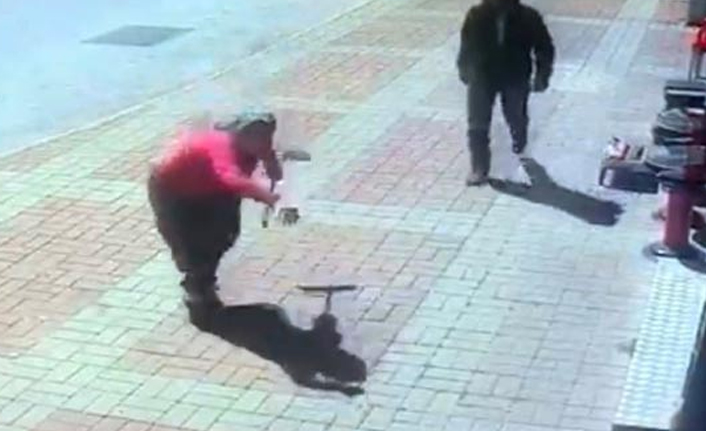 Köpeğe parke taşı fırlattı!