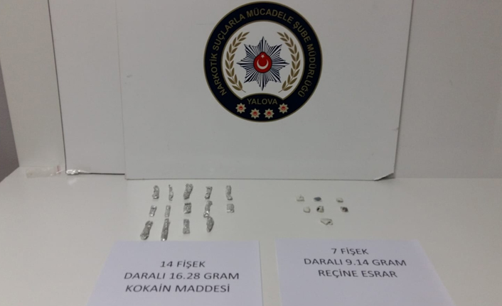 Yalova'da uyuşturucu operasyonu: 1 tutuklu