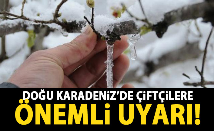 Doğu Karadeniz'e çiftçilere uyarı!