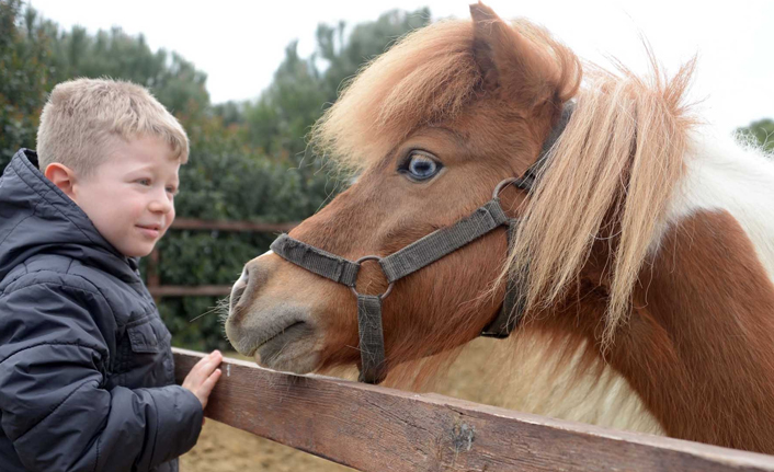 Öğrenciler can dostlarıyla buluşturuldu
