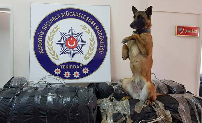 Narkotik köpeği Kiraz, TIR'da 131 kilogram skunk buldu
