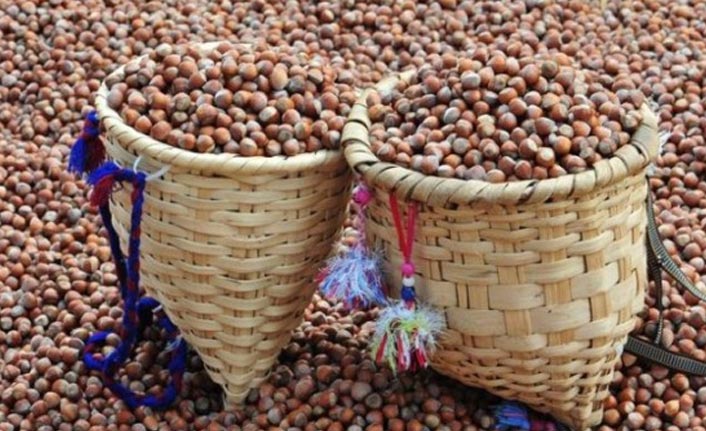 Türkiye'den 100 ülkeye fındık ihracatı