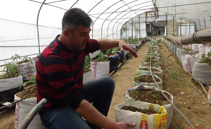 Yarasa gübresi kullanarak üretim yapıyor