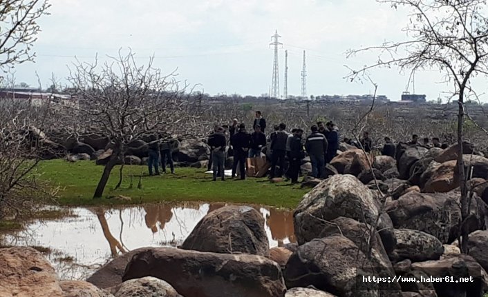 Koyun otlatan çobanlar tarlada mühimmat buldu 