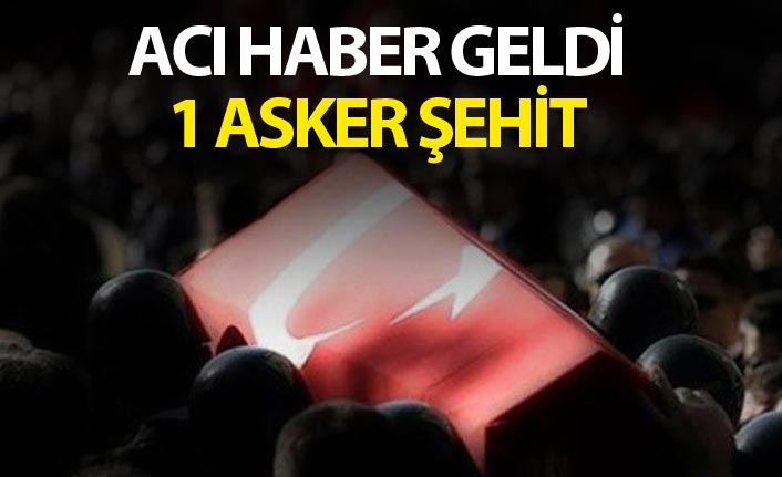 MSB açıkladı! Bir asker şehit oldu!