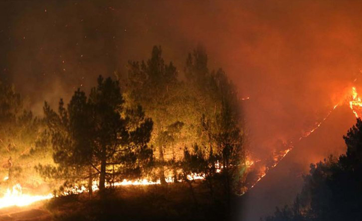 Güney Kore'de orman yangını: 478 ev yandı!