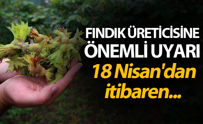 Fındık üreticisine önemli uyarı - 18 Nisan'dan itibaren...