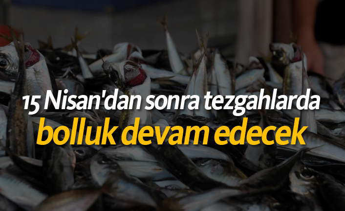 denizlerde av sezonu başlıyor 15 Nisan'dan sonra tezgahlarda bolluk olacak.